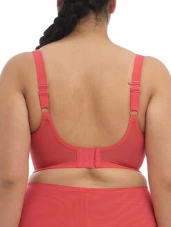 Outlet Soft Curve Bra Store -Outlet Soft Curve Bra Store braforme elomi brianna el8081 half cup bra cyn cayenne b1