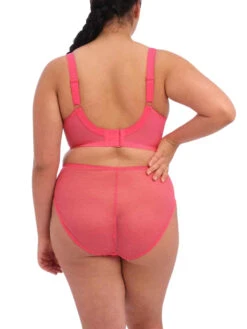 ELOMI Charley Moulded Spacer Bra - Honeysuckle -Outlet Soft Curve Bra Store braforme elomi el4383 hoe b