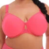 ELOMI Charley Moulded Spacer Bra - Honeysuckle