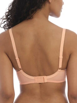 Freya Fancies Moulded Balcony Bra - Nectar -Outlet Soft Curve Bra Store braforme freya lingerie fancies aa1030 ncr nectar b